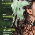 shampooing solide cyprès – photo 2