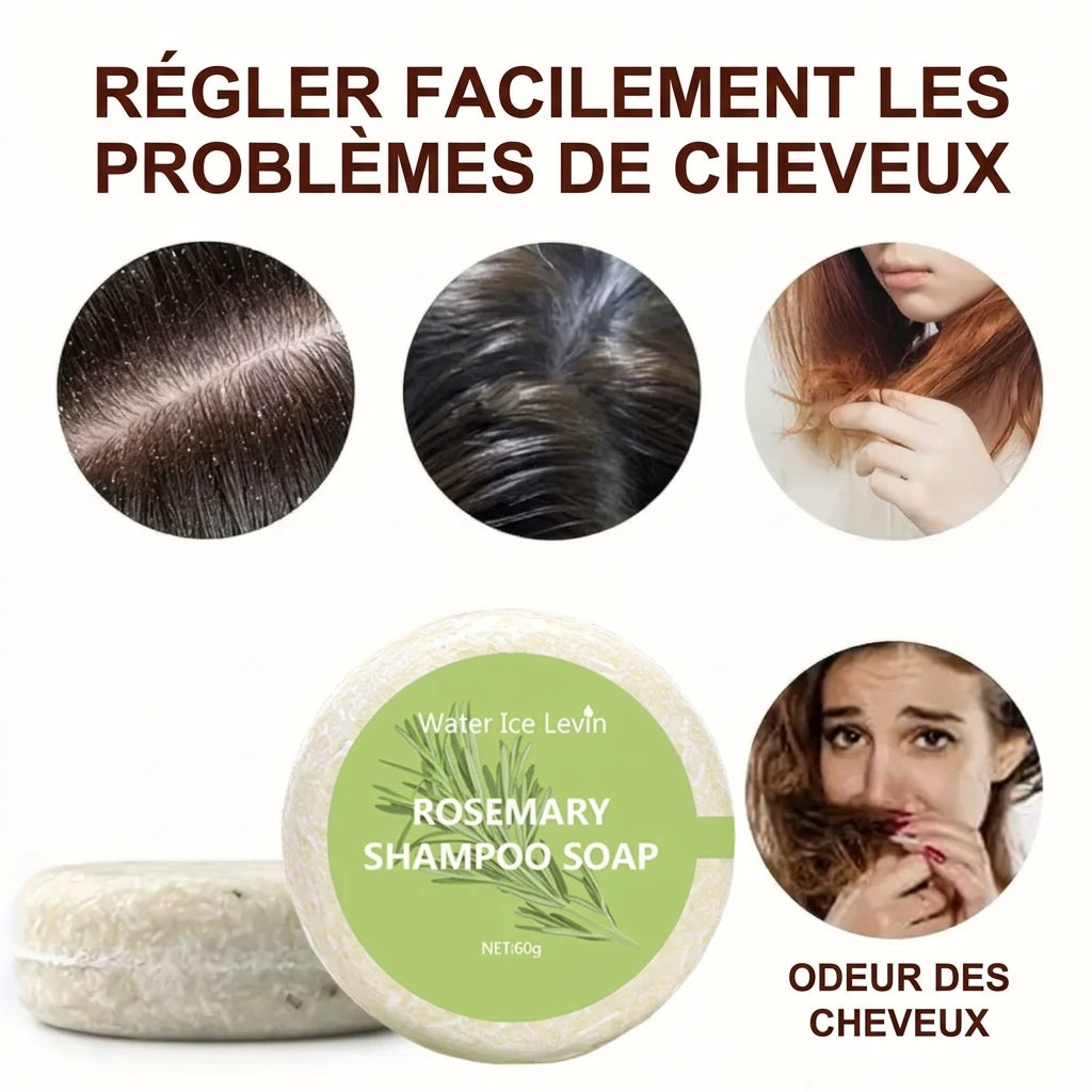 Shampooing solide romarin – problèmes de cheveux